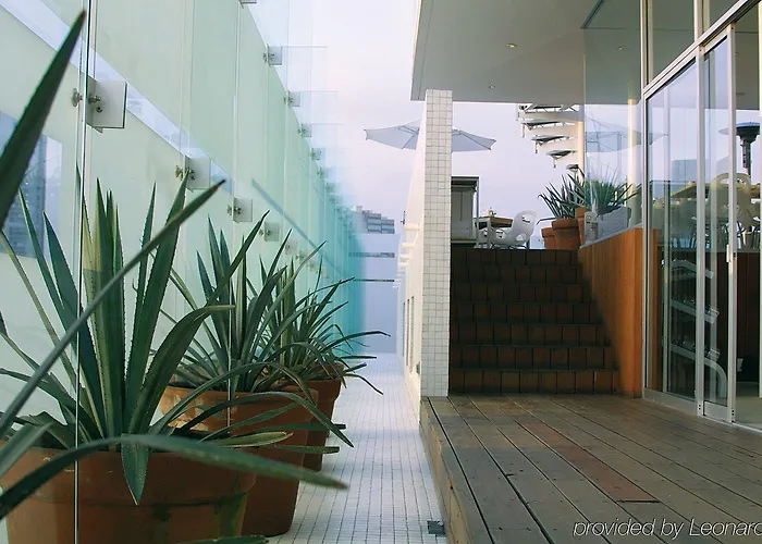 Habita, City, A Member Of Design México DF